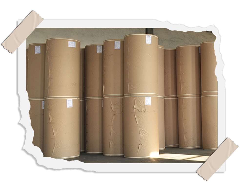 Test-Liner-Paper-Img2